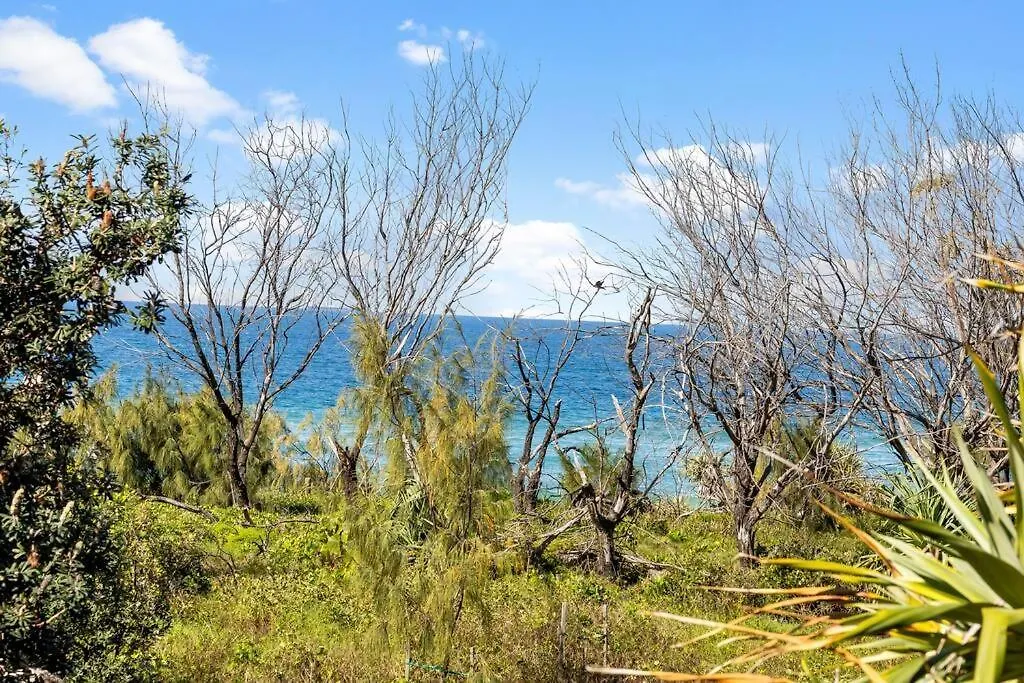 Apartamento 3Bed Ocean Views With Pool Buddina 0*,
